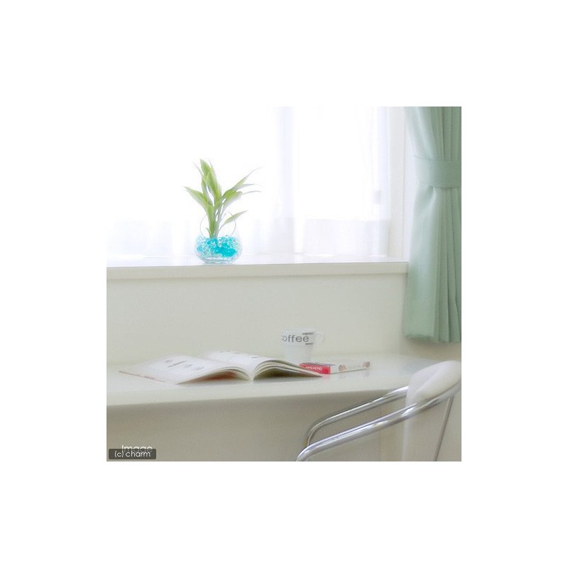 Bubble Jerry Blue Mix 80373