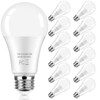 LED Light Bulbs 100 Watt Equivalent 1600 Lumens, A19 14W