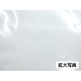 3408 PPLS Glitter Powder Decorative Paint Glitter Particles 0.01 inch (500 g) 17.6 oz (500 g) 16.9 oz (10 g) White