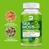 Beworths Irish Sea Moss Gummies 1200mg, Bone & Joint, Genuine