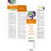 Blackcurrant (Ribes nigrum) Alcohol-Free Bud Extract from Fresh Buds NATURALMA