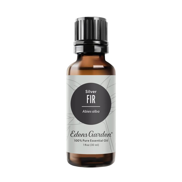 Edens Garden Fir- Silver Essential Oil, 100% Pure Therapeutic Grade, Undiluted Natural Aromatherapy- 30 ml