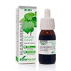 Soria Natural Extrait Fluide Glycerine Hamamelis XXI 50ml
