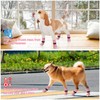 SCENEREAL Anti Slip Dog Socks for Hot/Cold Pavement, Double Sides