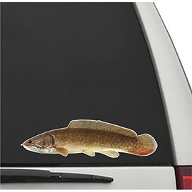 Bowfin Vinyl Decal 8" Fish Sticker, Fishing Decals, Fish Truck Decals, Fish Window Decal