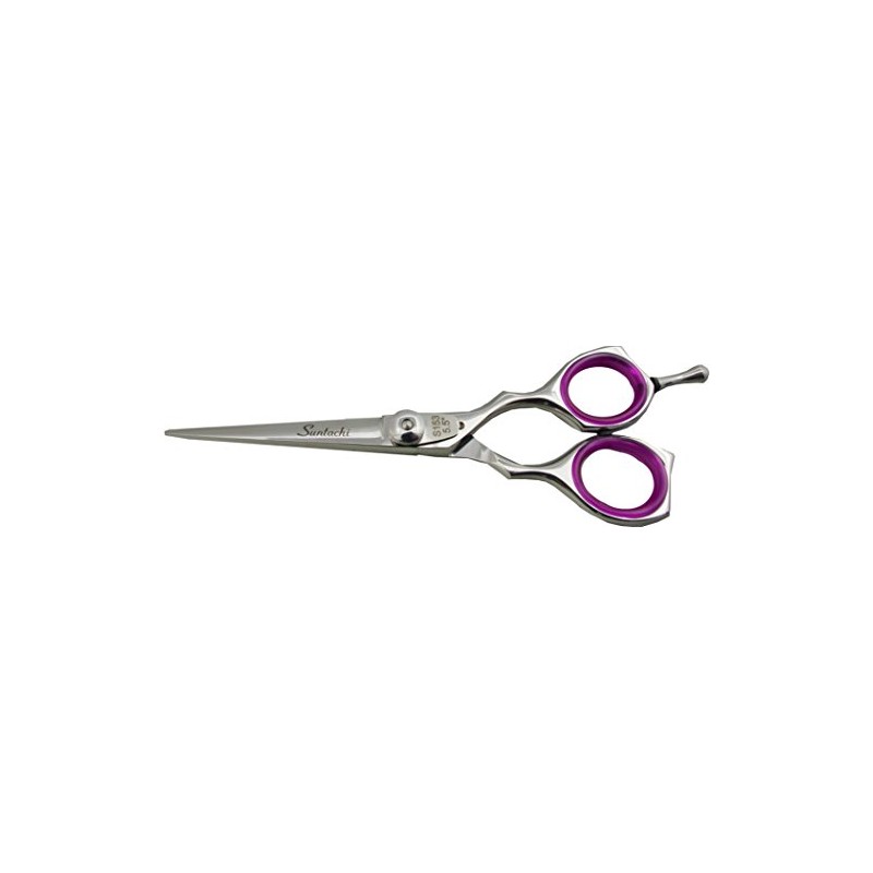 SUNT Hitachi Hair Cutting Scissors Straight Offset 5.5 '