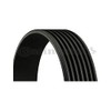 CONTITECH 7PK1642 V-Ribbed Belt