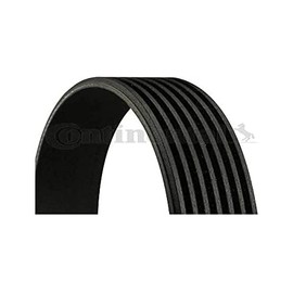 CONTITECH 7PK1642 V-Ribbed Belt