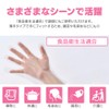 Iris Ohyama RCPE-100S Polyethylene Gloves, Small Size, 100 Pieces, Disposable,