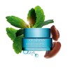 클라랑스 Hydra-Essential Moisture Cream 50ml