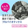 プロバイオティクス乳酸菌 31粒