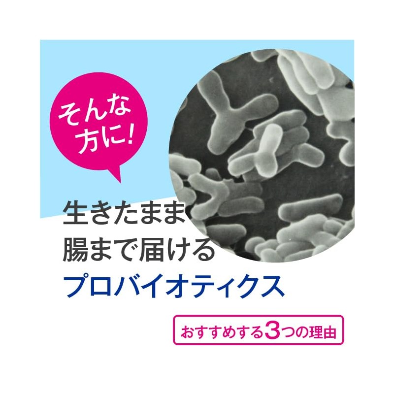 プロバイオティクス乳酸菌 31粒