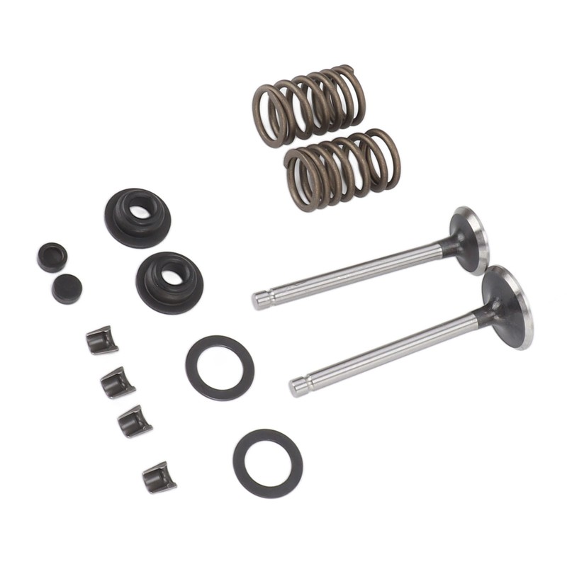 Microtiller Valve Parts Iron Wear Resistant Anti Corrosion Spring Washer