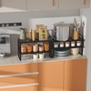 Wobmmi Expandable,Adjustable & Stackable Spice Rack, Cabinet Kitchen Countertop Shelf