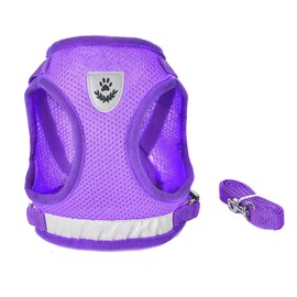 FEimaX Dog Harness and Leash Set, No-Pull Breathable Soft Mesh Puppy Vest Harness Reflective Adjustable Pet Harnesses for Small Medium Large Dogs and Cats - Outdoor Easy Control for Walking