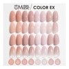 PRE GEL PG-CE924 Color Gel, Color EX, Glossy Skin, 0.1