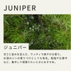 Tree of Life Juniper Essential Oil 10ml AEAJ Certified Essential