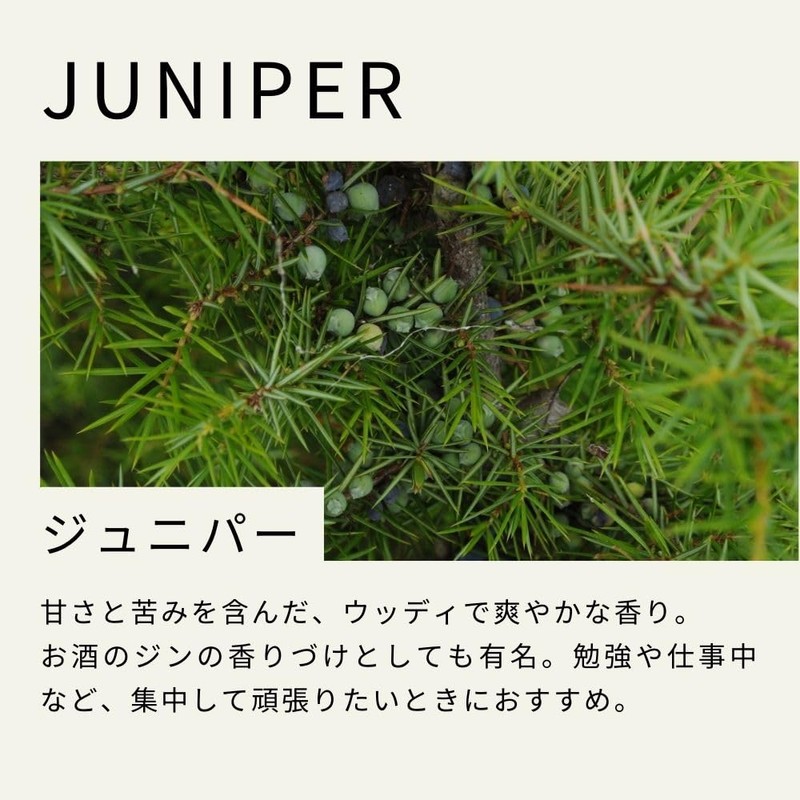 Tree of Life Juniper Essential Oil 10ml AEAJ Certified Essential