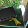 Hypeety 2PCS Reptile Hide Box Small Animal Hideaway Black Hides