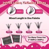 PRO DIY Lash Extension Kit，Individual Lashes Kit with 360 Pcs