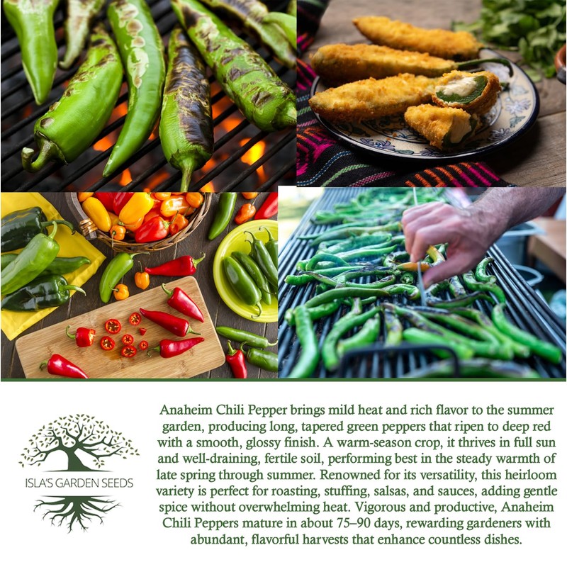 Anaheim Chili Pepper Seeds for Planting (Capsicum annuum) – 100+