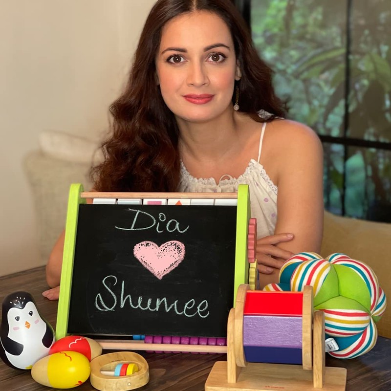 shumee Memory Cards Game (3 Years+) (Forest Animals)