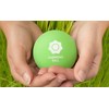 Massage Ball Set of 2 Natural Rubber with Net -