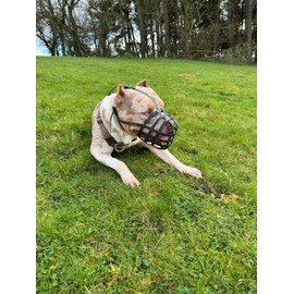 Biothane Dog Muzzle | Training & Behaviour | Strong, Waterproof Design | XL American Bully, XL Bully | Handmade, Durable