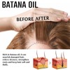 Hair Styling Oil (L)