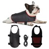 Red Light Ther/apy Back Belt for Dogs and Cats, Wireless