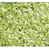 Duckweed (Lemna Minor) - 100/200/500 Live Plants (200) by Aqua
