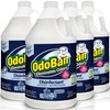 OdoBan Disinfectant Concentrate and Odor Eliminator, Made in the USA,