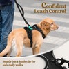 rabbitgoo Dog Harness No Pull with 2 Leash Clips, Adjustable