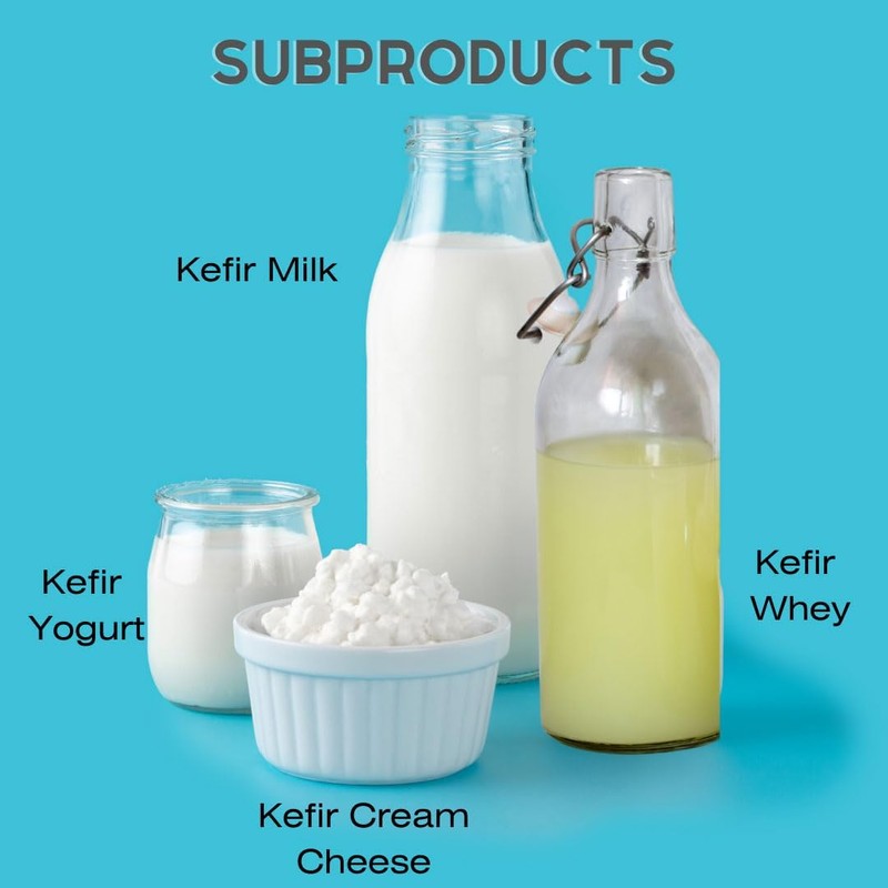 Milk Kefir Grains, Live Fresh, Kefir Cultures, 50 Billion Active