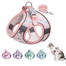 BTDCFY Step-in Dog Harness and Leash Set - Breathable Air Mesh, Reflective, Escape Proof, No Choke, Lightweight Vest (XXS, Pink-2)