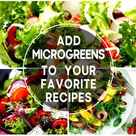 Open Seed Vault 30,000 Non GMO Heirloom Vegetable Seeds - 30 Variety Pack for Gardening, Survival Gear, and Emergency Supplies Kit-seeds gift