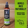 Grandpa Gus's Mouse Repellent Spray, Peppermint & Cinnamon Oil Formula,