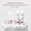 RAVIEL Panthenol Dark Spot & Blemish Care Spot Cream, Intensive