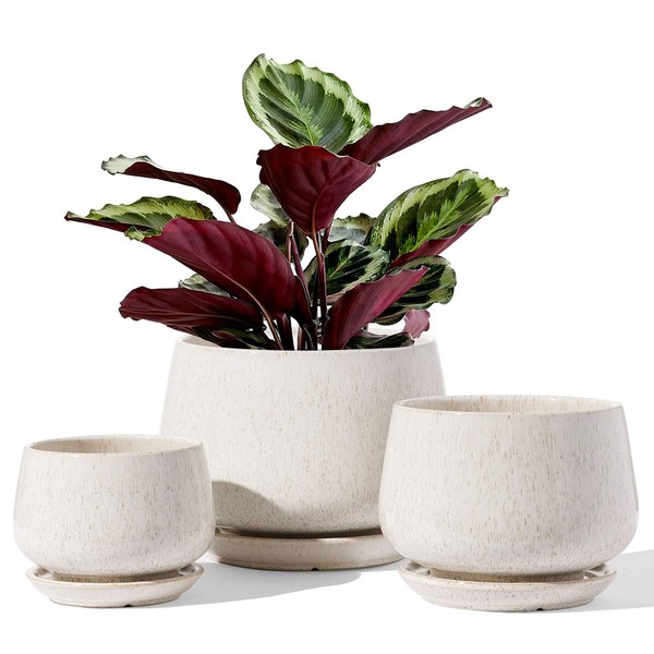 LE TAUCI LE TAUCI Plant Pots, 4.1+5.1+6.5 inch, Set of