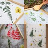 CENPEK Ancient Paper Making Method Wooden Paper Making Crafting Papermaking