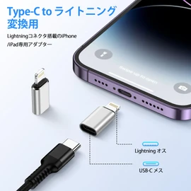 GAEF Type C to Lightning Conversion Adapter 2-Piece Set Type C to Lightning Conversion Adapter PD Charging & 480Mbps Data Transfer (PC to PC Only) [Earphone Incompatible, OTG Function and External