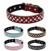 Pimaodog Rhinestones Dog Collar, Adjustable Sparkly Crystal Studded Genuine Leather