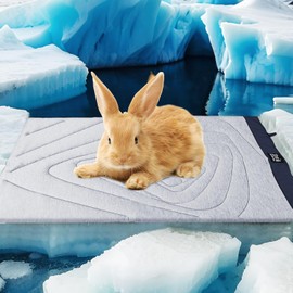 ZonLi Dog Cooling Mat, 20" x 16"Small, Waterproof Cooling Pad for Cats & Rabbits, Portable & Durable Pet Mat for Crate, Trunk, Camping, Outdoors, Machine Washable, Tidal Blue