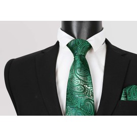 Alizeal Paisley Men's Gradient Tie and Pocket Square Set, Dark Green