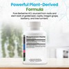 Neuro biologix Neuro biologix Pure Plant-Derived Berberine HCl Supplement C