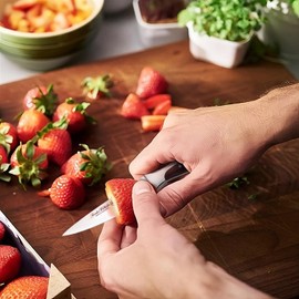 Gunter Wilhelm Paring Knife, 3.5 Inch German Made – PREMIER ProCut Series – Razor Sharp Knife for Fruit and Vegetable Cutting, Chopping, Peeling – Full Triple Tang, Ergonomic Dark Brown ABS Handle