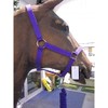 Roma Headcollar & Lead Set, Red, Full