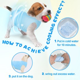 Boortight Dog Cooling Vest Quick Dry Sun Protection Dog Shirt Breathable Instant Cooling Vest for Small Medium Large Dogs and Cats (1Pack-L)