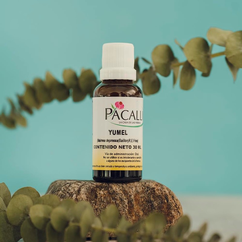Extracto Líquido de Yumel 30 ml – Malmea depressa con