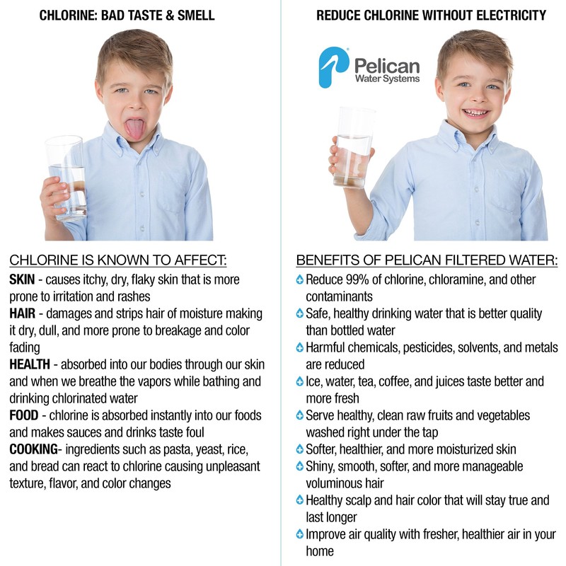 Pelican Water Replacement 10 in. Sediment Filter & O-Ring